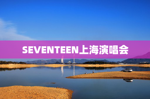 SEVENTEEN上海演唱会-第1张图片-票100