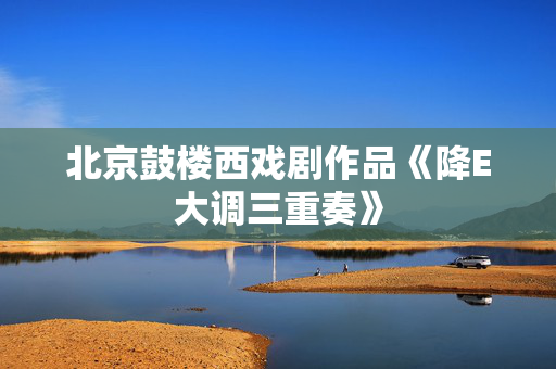 北京鼓楼西戏剧作品《降E大调三重奏》-第1张图片-票100