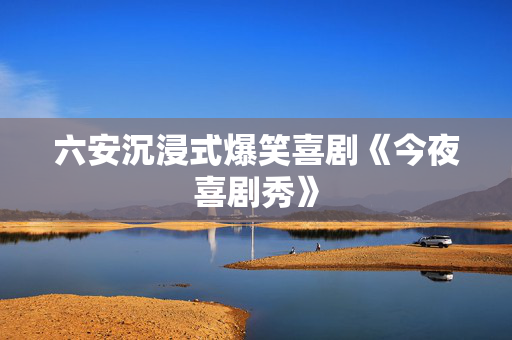 六安沉浸式爆笑喜剧《今夜喜剧秀》