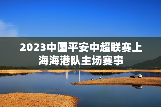 2023中国平安中超联赛上海海港队主场赛事