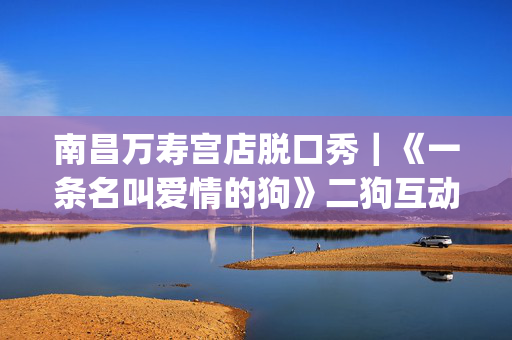 南昌万寿宫店脱口秀｜《一条名叫爱情的狗》二狗互动交友专场｜5月3日周五20点｜约会聚会&爆笑推荐