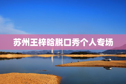 苏州王梓晗脱口秀个人专场