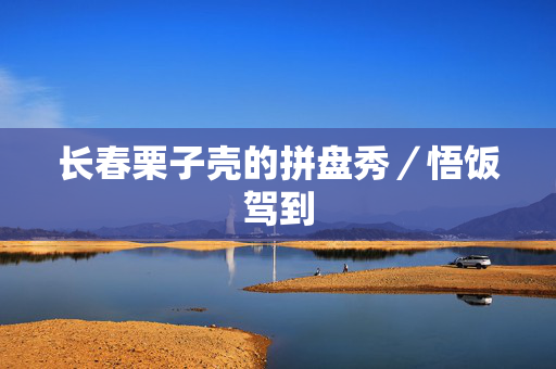 长春栗子壳的拼盘秀／悟饭驾到