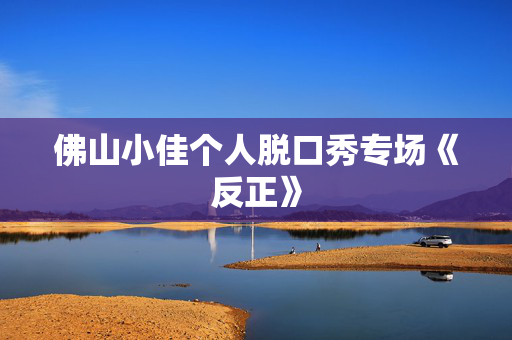 佛山小佳个人脱口秀专场《反正》