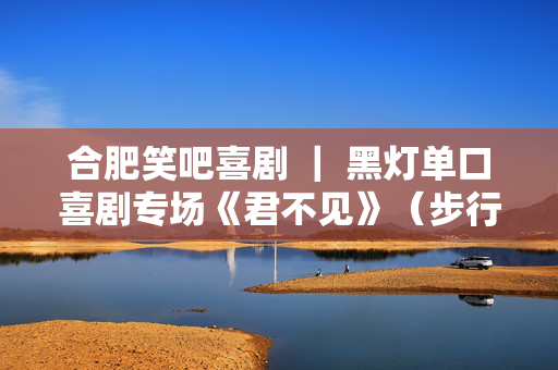 合肥笑吧喜剧 ｜ 黑灯单口喜剧专场《君不见》（步行街爆笑开演）