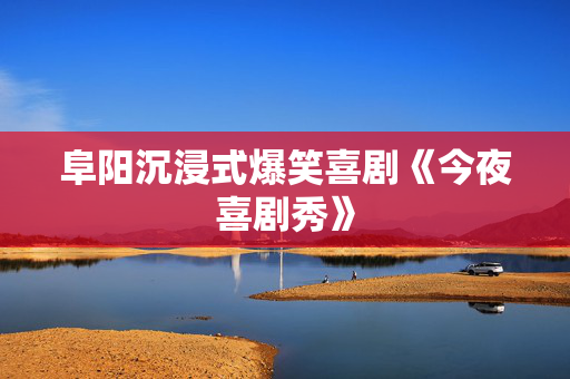 阜阳沉浸式爆笑喜剧《今夜喜剧秀》