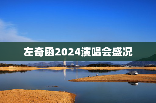 左奇函2024演唱会盛况