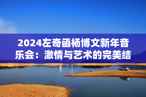 2024左奇函杨博文新年音乐会：激情与艺术的完美结合