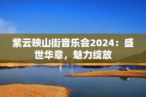紫云映山街音乐会2024：盛世华章，魅力绽放