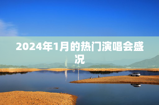 2024年1月的热门演唱会盛况