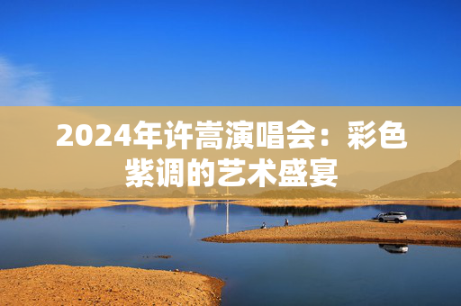 2024年许嵩演唱会：彩色紫调的艺术盛宴