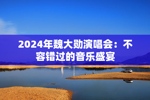 2024年魏大勋演唱会：不容错过的音乐盛宴