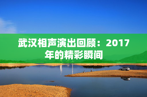 武汉相声演出回顾：2017年的精彩瞬间