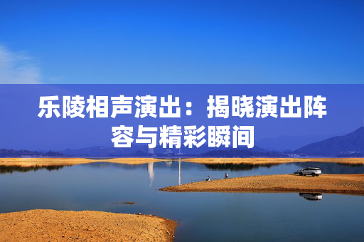 乐陵相声演出：揭晓演出阵容与精彩瞬间