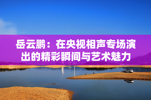 岳云鹏：在央视相声专场演出的精彩瞬间与艺术魅力