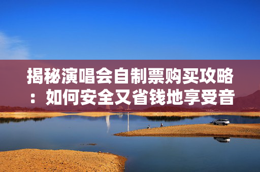 揭秘演唱会自制票购买攻略：如何安全又省钱地享受音乐盛宴