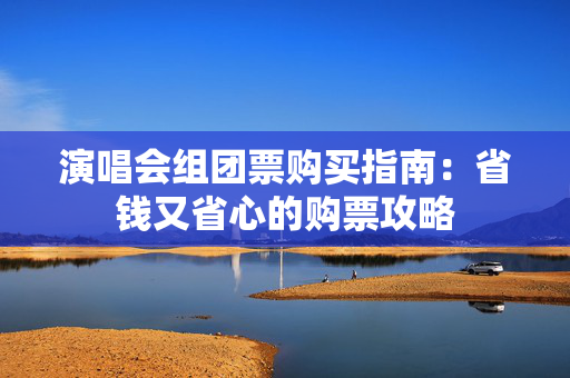 演唱会组团票购买指南：省钱又省心的购票攻略