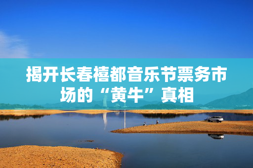 揭开长春禧都音乐节票务市场的“黄牛”真相-第1张图片-票100