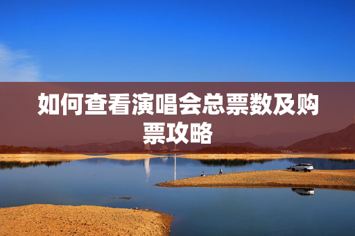 如何查看演唱会总票数及购票攻略