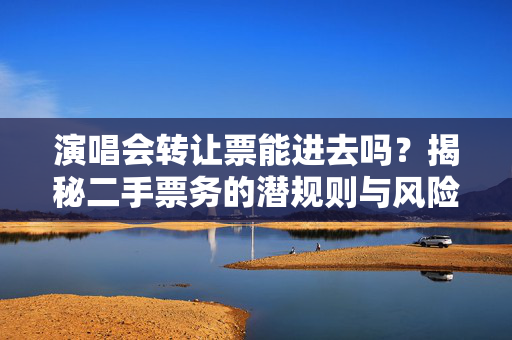 演唱会转让票能进去吗？揭秘二手票务的潜规则与风险-第1张图片-票100
