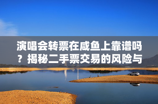 演唱会转票在咸鱼上靠谱吗？揭秘二手票交易的风险与技巧-第1张图片-票100