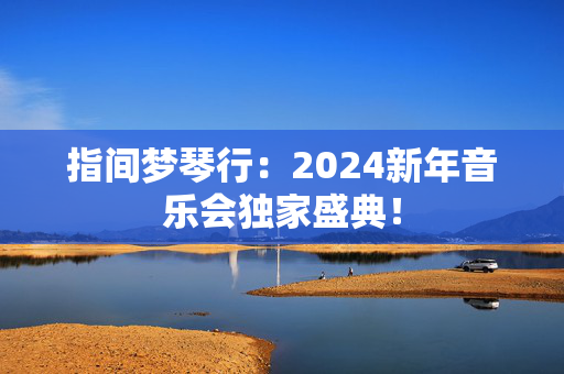 指间梦琴行：2024新年音乐会独家盛典！-第1张图片-票100