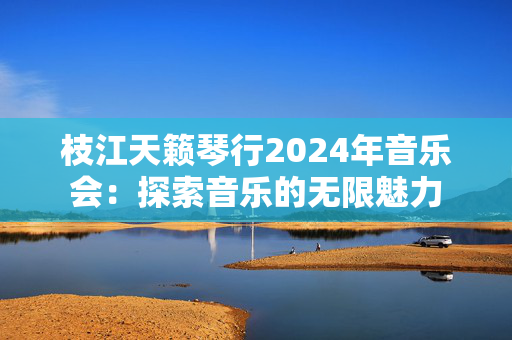 枝江天籁琴行2024年音乐会：探索音乐的无限魅力