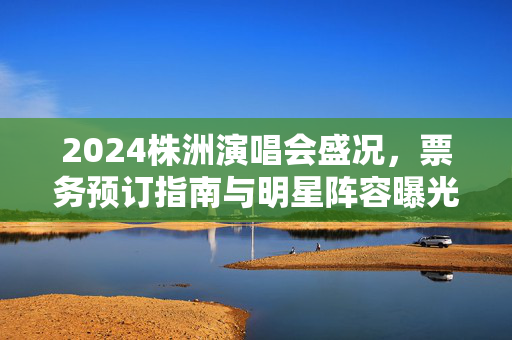 2024株洲演唱会盛况，票务预订指南与明星阵容曝光