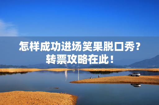 怎样成功进场笑果脱口秀？转票攻略在此！-第1张图片-票100
