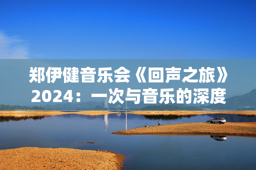 郑伊健音乐会《回声之旅》2024：一次与音乐的深度对话-第1张图片-票100