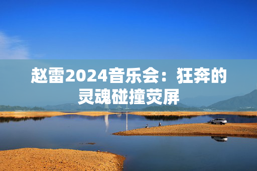赵雷2024音乐会：狂奔的灵魂碰撞荧屏-第1张图片-票100