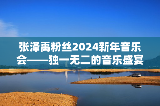 张泽禹粉丝2024新年音乐会——独一无二的音乐盛宴，让我们一起迎接2024！-第1张图片-票100