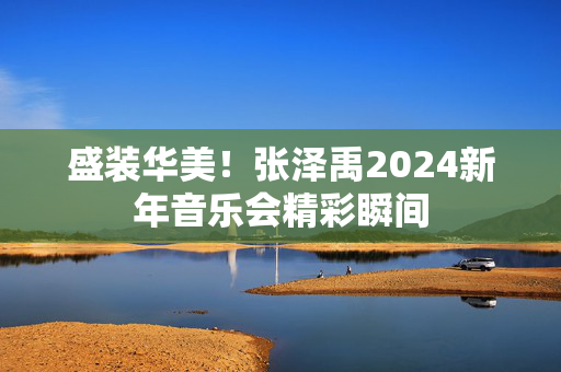 盛装华美！张泽禹2024新年音乐会精彩瞬间-第1张图片-票100