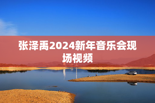 张泽禹2024新年音乐会现场视频-第1张图片-票100