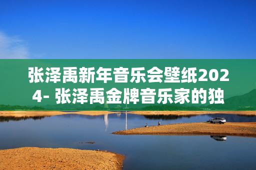 张泽禹新年音乐会壁纸2024- 张泽禹金牌音乐家的独特音乐会体验-第1张图片-票100