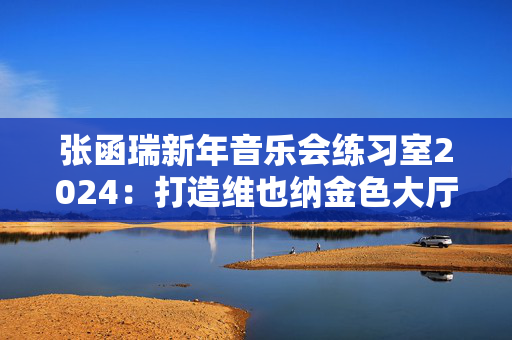 张函瑞新年音乐会练习室2024：打造维也纳金色大厅的华丽之夜-第1张图片-票100