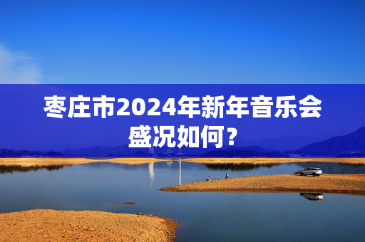 枣庄市2024年新年音乐会盛况如何？-第1张图片-票100