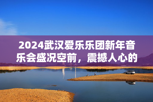 2024武汉爱乐乐团新年音乐会盛况空前，震撼人心的演出精彩绝伦-第1张图片-票100