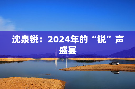 沈泉锐：2024年的“锐”声盛宴-第1张图片-票100
