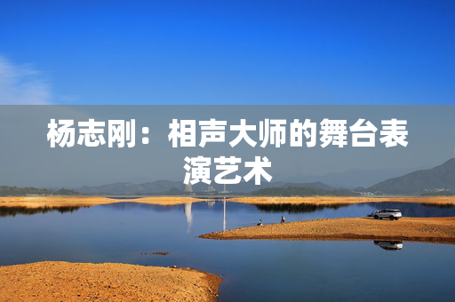 杨志刚：相声大师的舞台表演艺术
