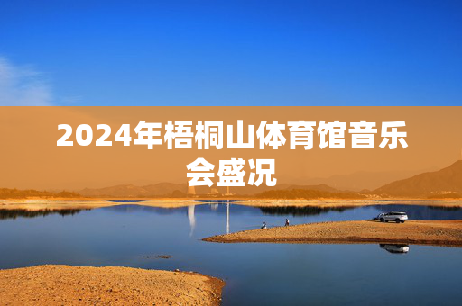 2024年梧桐山体育馆音乐会盛况-第1张图片-票100