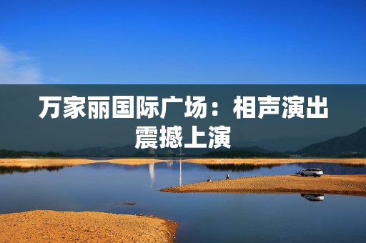 万家丽国际广场：相声演出震撼上演