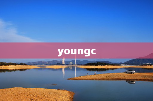 youngc-第1张图片-票100