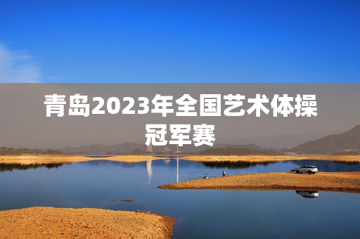 青岛2023年全国艺术体操冠军赛