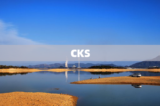 CKS-第1张图片-票100