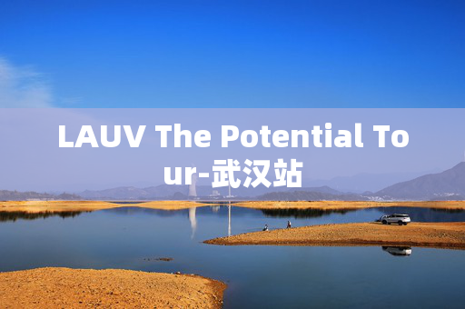 LAUV The Potential Tour-武汉站-第1张图片-票100