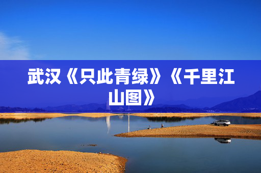 武汉《只此青绿》《千里江山图》