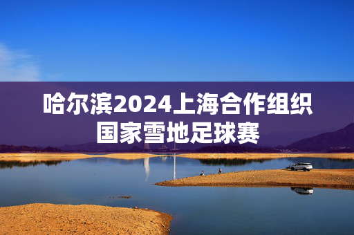 哈尔滨2024上海合作组织国家雪地足球赛-第1张图片-票100