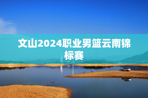 文山2024职业男篮云南锦标赛-第1张图片-票100